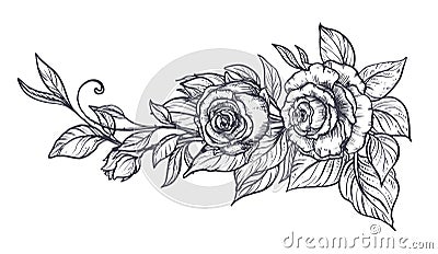 Elegant hand drawn graphic bouquet with rose flowers and leaves Vector Illustration