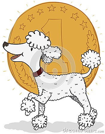 Elegant Poodle Winning a Pet Contest, Vector Illustration Vector Illustration