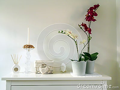 Elegant interior with an orchid Stock Photo