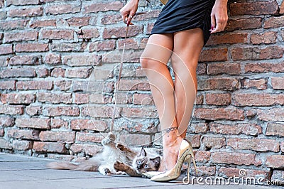 Elegant Italian woman keeps her cat on a leash Stock Photo