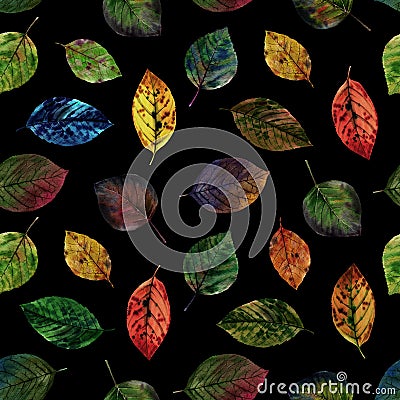 Elegant leaves for design. Colorful autumn leaves. Seamless pattern of leaves. Stock Photo