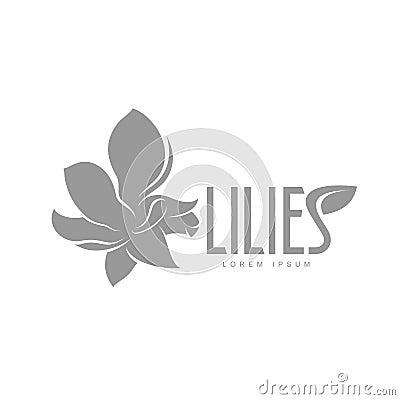 Elegant lilies logo template Cartoon Illustration