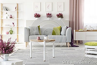 Elegant living room with white furniture, stylish wooden coffee table, patterned rug, grey couch with pillows and heather Stock Photo