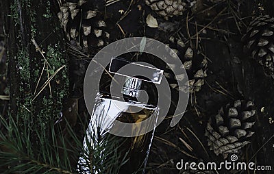 Elegant male perfume bottle at the pine forest Stock Photo