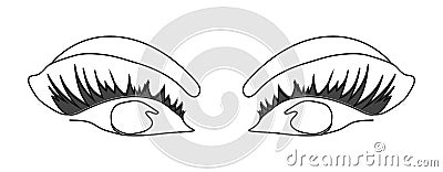 Elegant one-line sketch of women eyes. Drawing of a woman`s face in a minimalist style. Fashionable illustration for print Vector Illustration