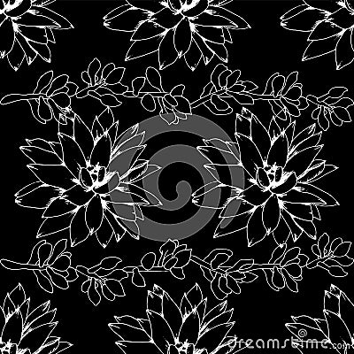 Elegant ornamental vector black and white succulent seamless pattern in a botanical style Stock Photo