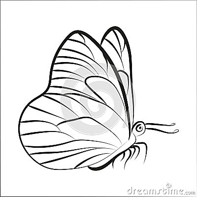 Elegant outline butterfly on white background. Vector Illustration