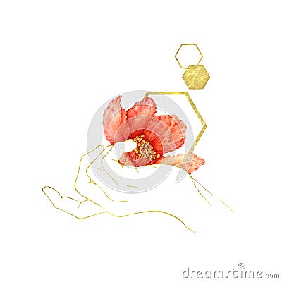 Elegant outline hand holding pomegranate red flower watercolor illustration. Beautiful arrangement with golden graphic elements. Cartoon Illustration