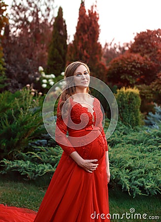 An elegant, pregnant woman walks in a beautiful garden in a luxurious, expensive red dress with a long train. Artistic Stock Photo