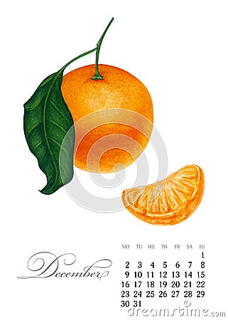 Elegant printable calendar 2019. December. Watercolor Mandarin. Botanical art. Template for a banner, notebook Stock Photo