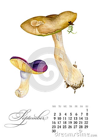 Elegant printable calendar 2019. September. Watercolor mushrooms. Botanical art. Template for a banner, notebook Stock Photo