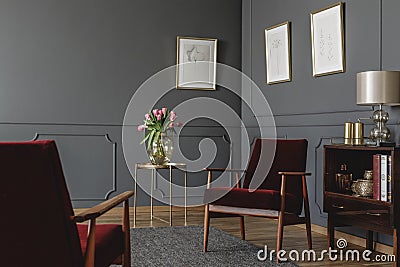 Elegant psychologist`s office interior with two red armchairs fa Stock Photo