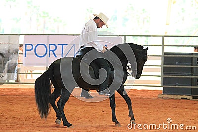 Elegant rider on black pasofino horse at the rodeo Editorial Stock Photo