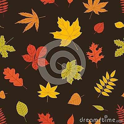 Elegant seasonal seamless pattern with autumn foliage of forest trees on black background. Motley botanical decorative Vector Illustration