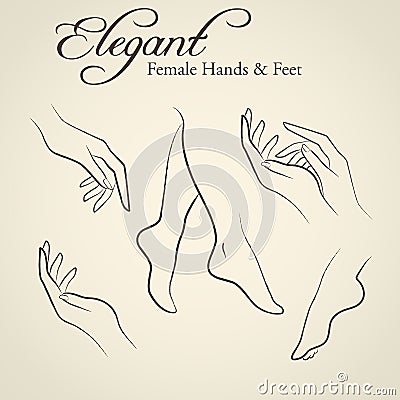 Elegant silhouettes of female hands and feet Vector Illustration