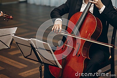 Elegant string quartet performing at wedding reception in restaurant, handsome man in suits playing violin and cello at theatre Stock Photo