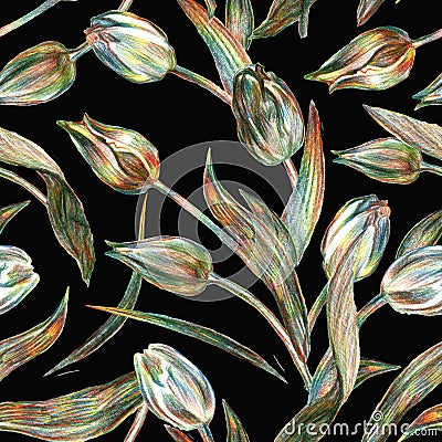 Elegant tulips flowers seamless pattern drawn by colored pencil on deep black. Cartoon Illustration