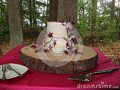 Two tier cake wedding cake adorned with Japanese maple leaves. Stock Photo