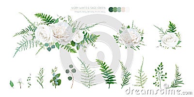 Elegant vector floral bouquet: Ivory white, creamy peony Rose flowers, silver sage Eucalyptus branches, greenery leaves, ferns, Vector Illustration