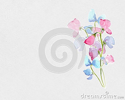 Romantic floral frame in watercolor with sweet pea flowers Stock Photo