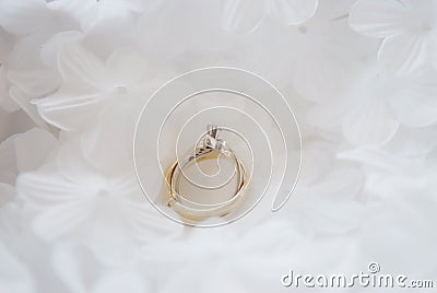 Elegant Wedding Ring on Floral Background Stock Photo