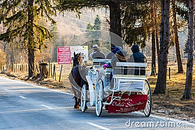 Elegant white horse carriage transportantion on the mountains roads in winter season. Moroeni, Romania, 2020 Editorial Stock Photo
