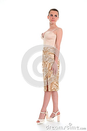 Elegant woman in fashionable stylish dress posing in the studio Stock Photo