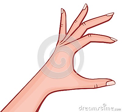 Elegant Woman Hand Holding Something Small Fingers Outstretched with French Manicure Retro Style Vector Outlined Illustration Isol Vector Illustration