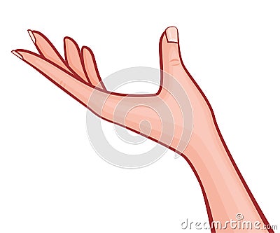 Elegant Woman Hand Outstretched Palm Up with French Manicure Retro Style Vector Outlined Illustration Isolated on White Vector Illustration