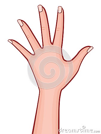 Elegant Woman Hand Palm Down with Spread out Fingers with French Manicure Retro Style Vector Outlined Illustration Isolated on Whi Vector Illustration