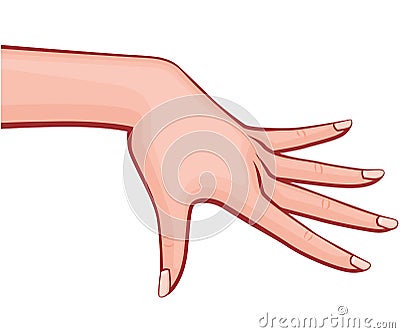 Elegant Woman Hand with Spread out Fingers with French Manicure Retro Style Vector Outlined Illustration Isolated on White Vector Illustration