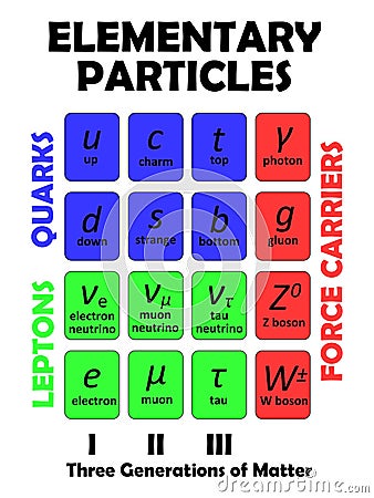 Elementary particles Vector Illustration