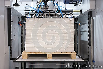 Elements of corton boxes are collected in stack. Conveyor line for the production of boxes. Machine cuts cardboard boxes from Stock Photo