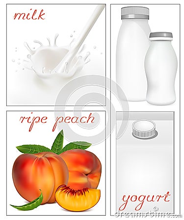 Elements for design of packing milk dairy. Vector Illustration