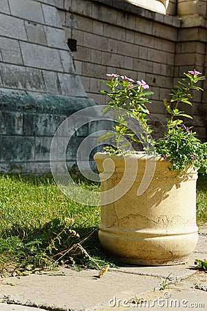 elements of the monastery of John the Baptist Stock Photo