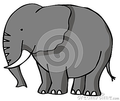 Elephant Vector Illustration