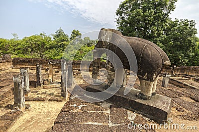 Elephant in Angkor Wat temple, Cambodia Stock Photo