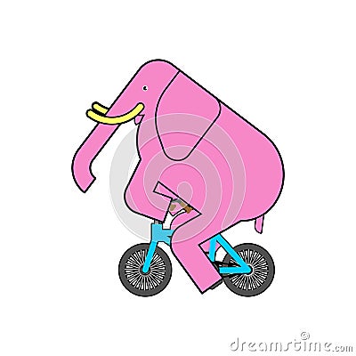 Elephant on bicycle. animal is riding bicycle. Cartoon childrens illustration Vector Illustration