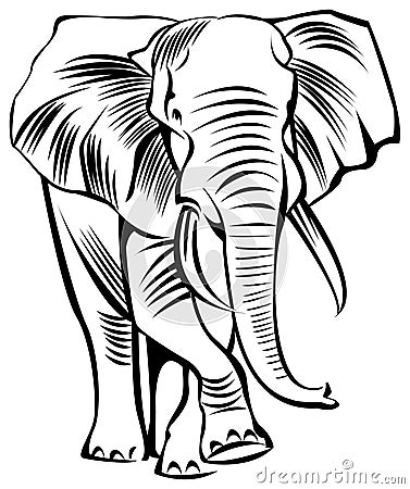 Elephant Vector Illustration