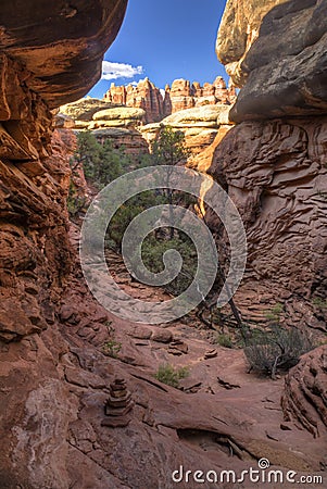 Elephant Canyon Trail to Chesler Park Stock Photo