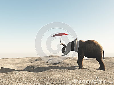 Elephant in the desert with umbrella. Stock Photo