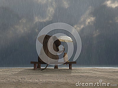 Elephant and dog sit under the rain Stock Photo