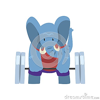 Elephant exercising with a barbell, funny sportive wild animal character doing sports vector Illustration on a white Vector Illustration