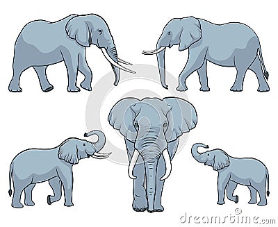 Elephant family. Set of elephants. Vector illustration on white background Vector Illustration