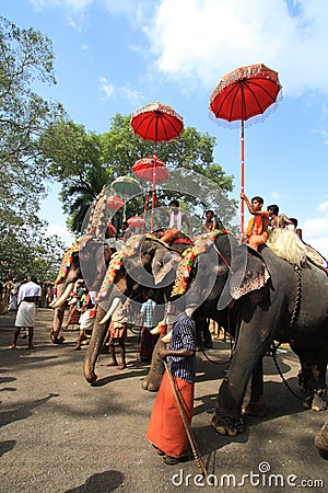 Elephant Festival Editorial Stock Photo