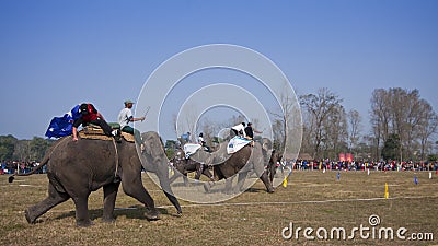 Elephant festival, Chitwan 2013, Nepal Editorial Stock Photo
