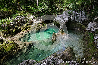 The elephant formation in Mostnica gorge, Mostnica korita, Slovenia Stock Photo