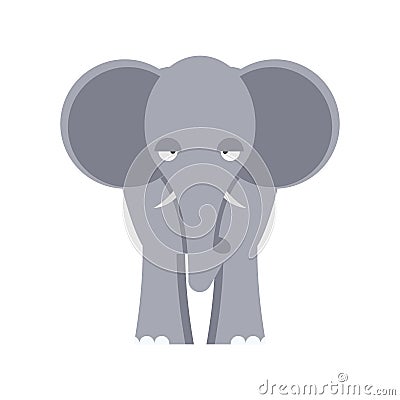 Elephant front view isolated. Big wild African beast on white ba Vector Illustration