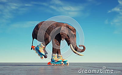 Elephant goes on rollers. Impossible and happiness concept Cartoon Illustration