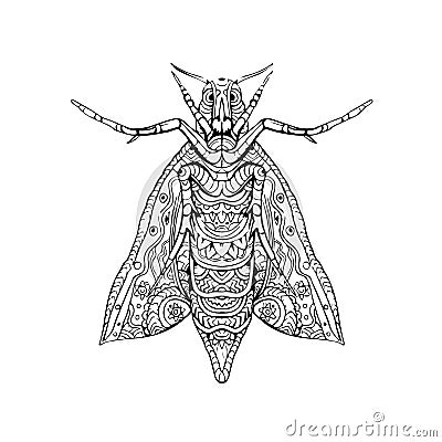 Elephant Hawk Moth Mandala Stock Photo